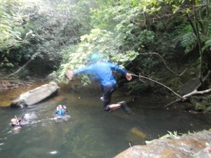 マイラ川マングローブカヌー&マイラの滝